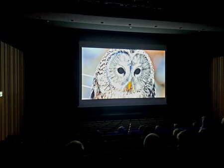 Bojevita kraljica noci 3